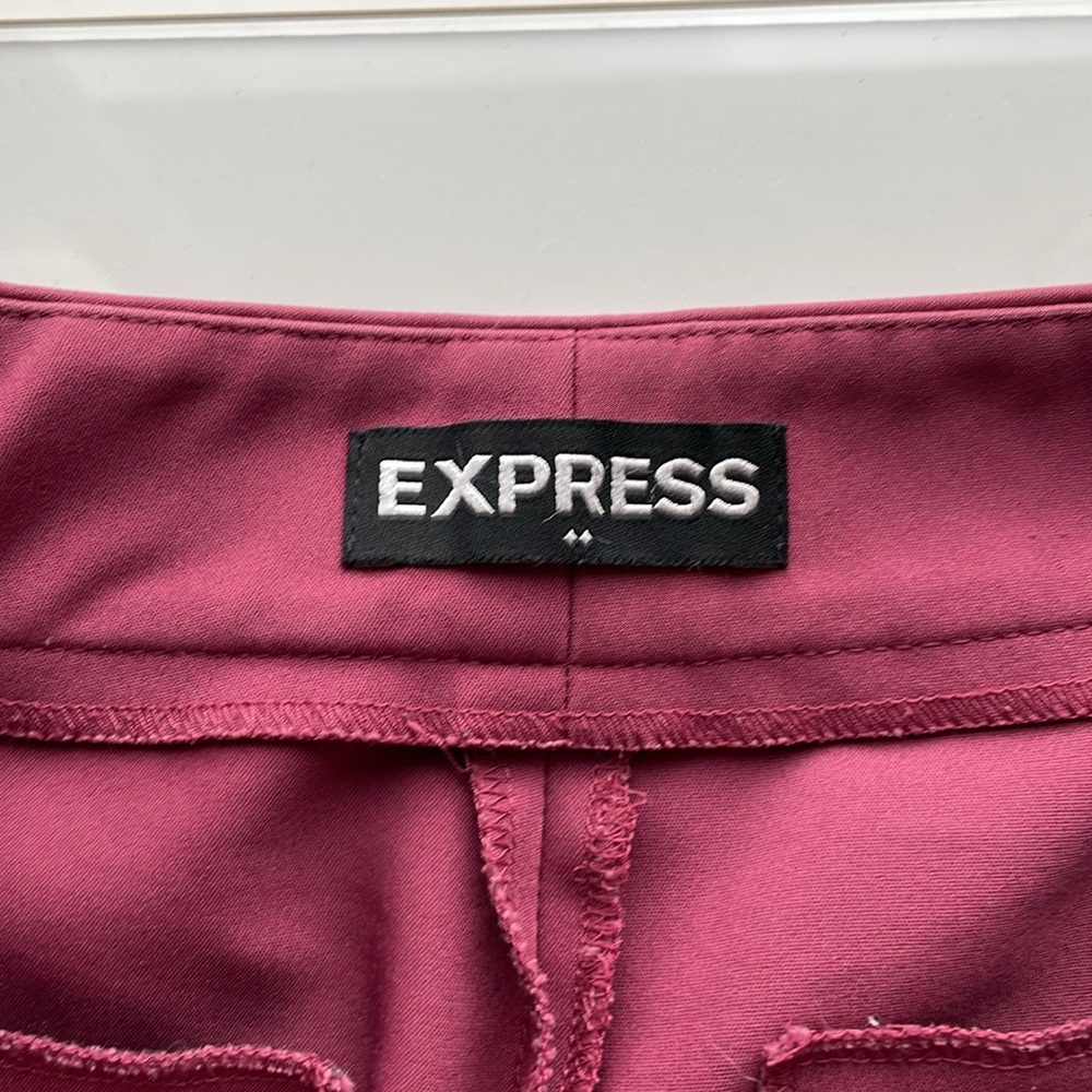 Express Columnist Pants Size 2 - image 3